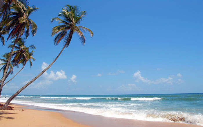 Colva Beach in Goa