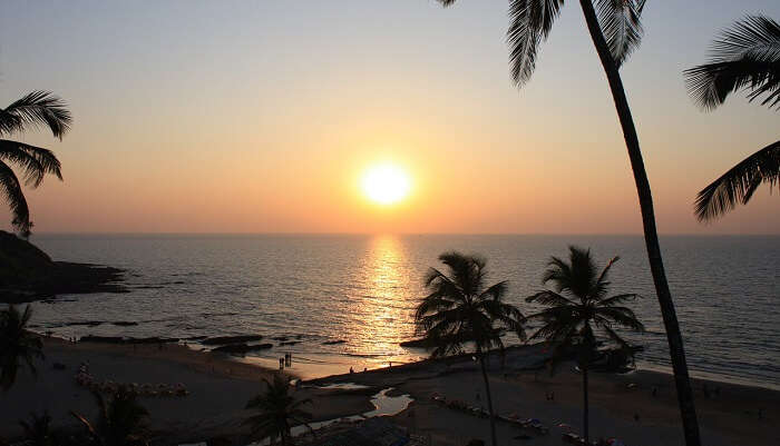 Odxel Beach In Goa