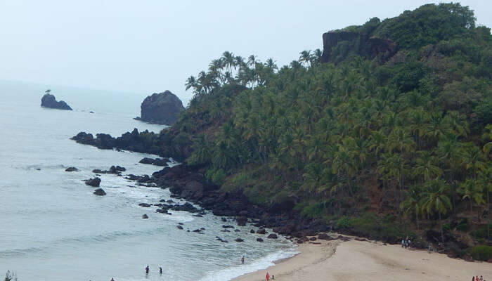 Rajbagh Beach